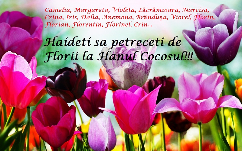 la.multi.ani.de.florii.slider