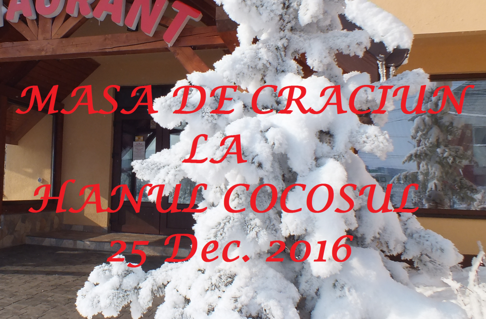 masa de craciun alexandria teleorman