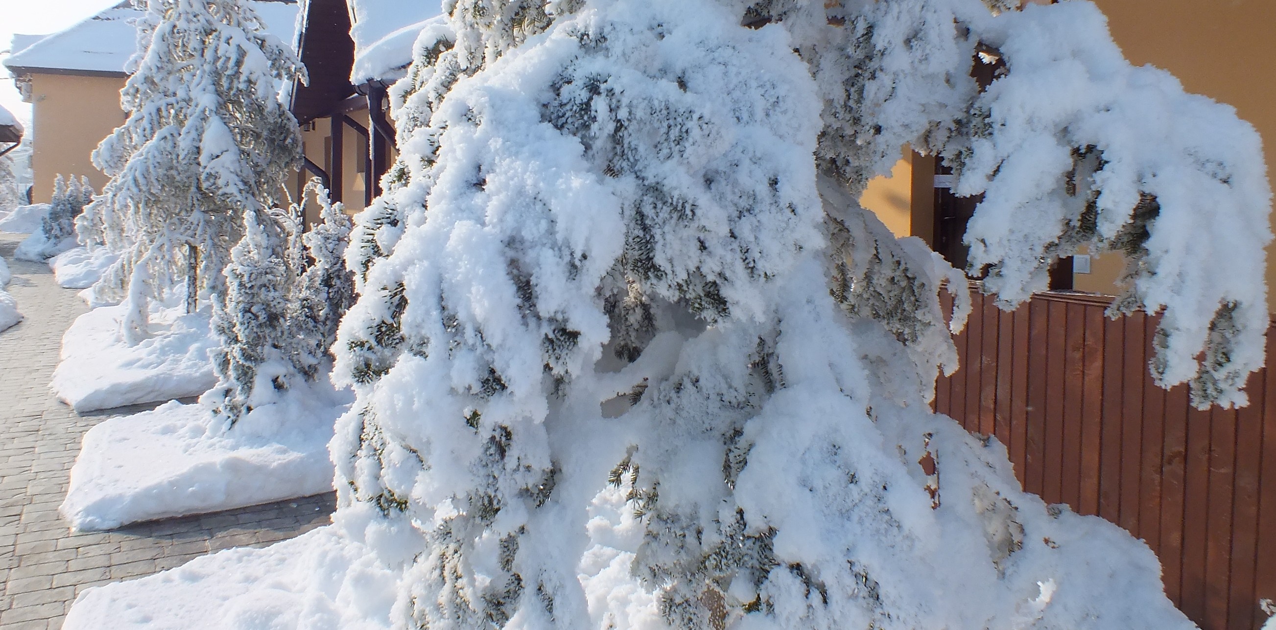 cazare.alexandria.hanul.cocosul.restaurant (5) - Copy