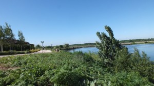 DSCF6783