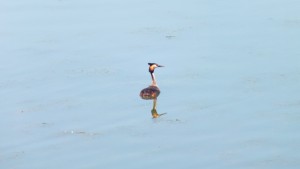DSCF6788